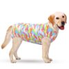 Dog recovery suit